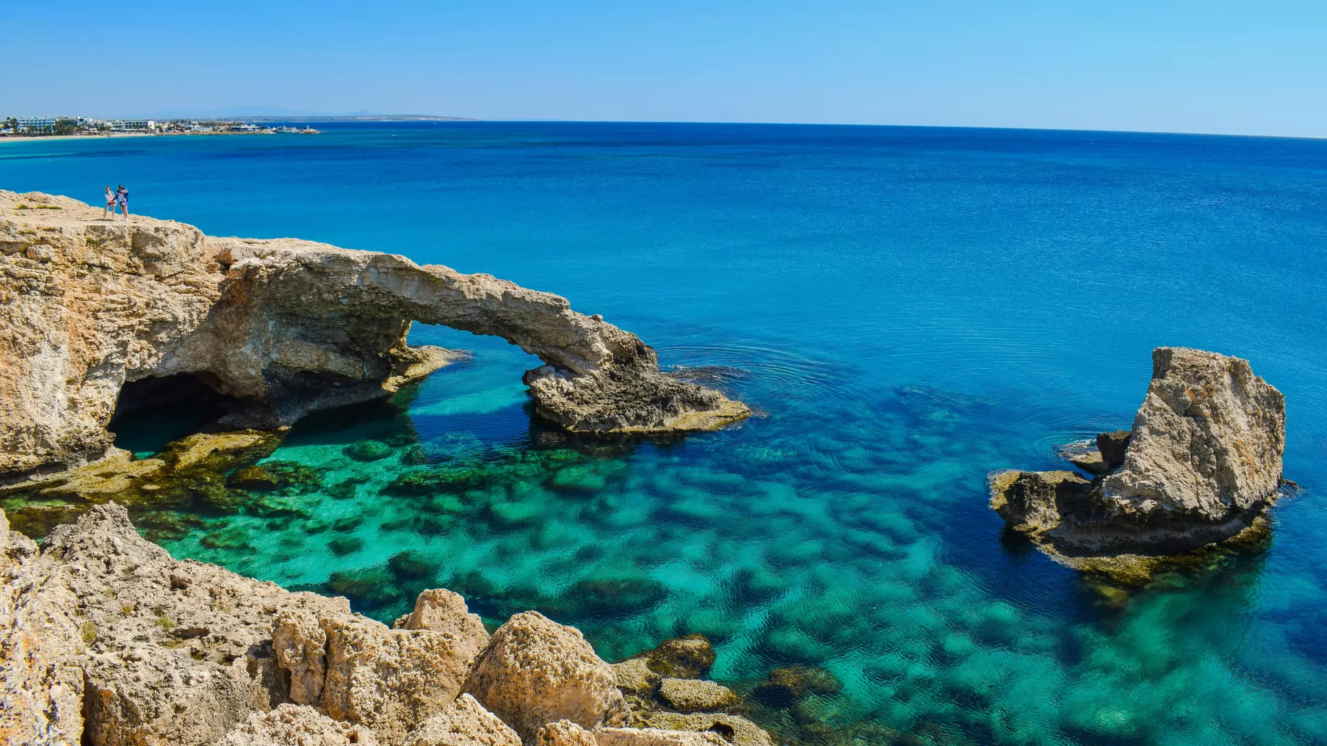 trip inroduction image