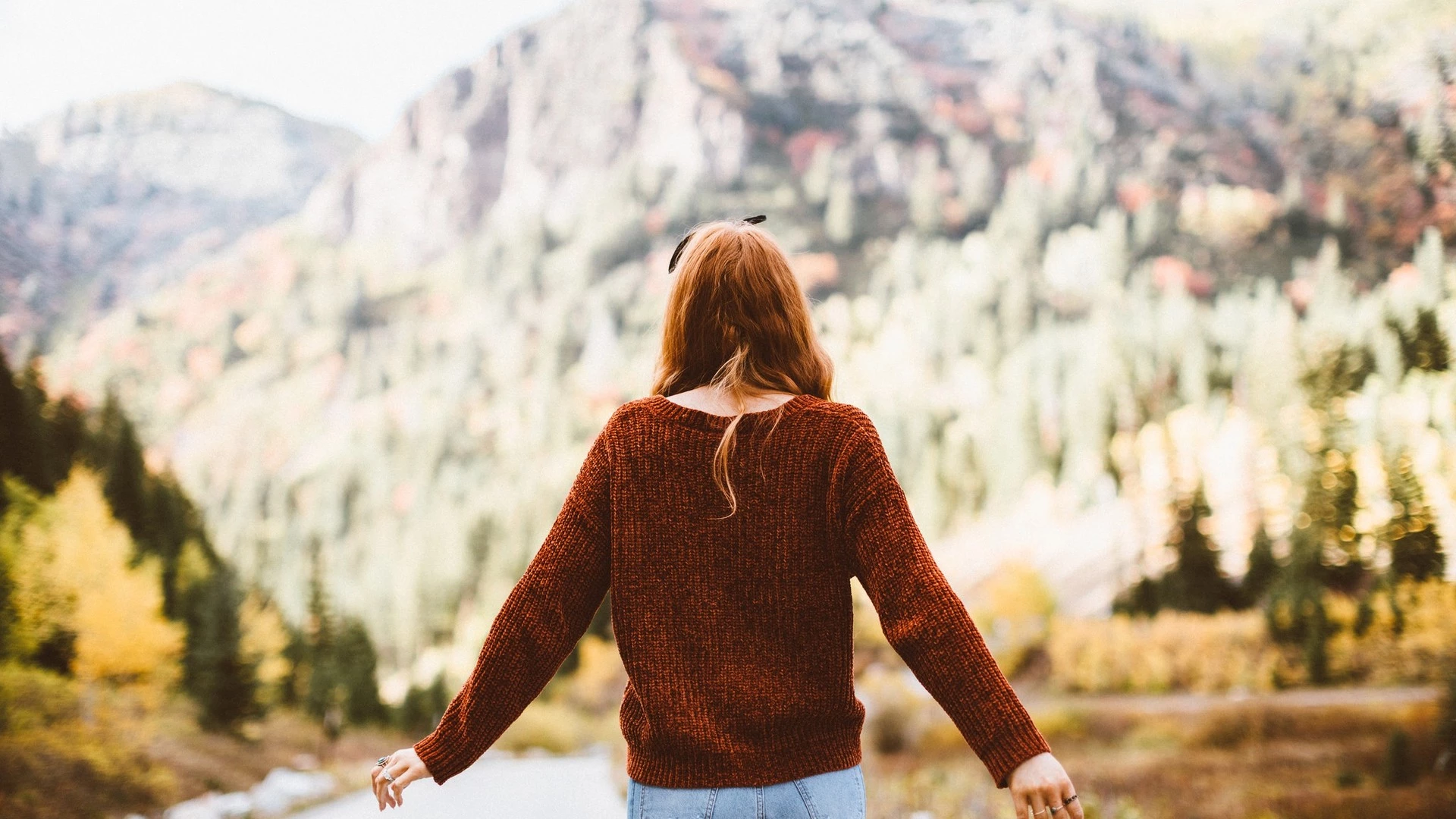 trip inroduction image