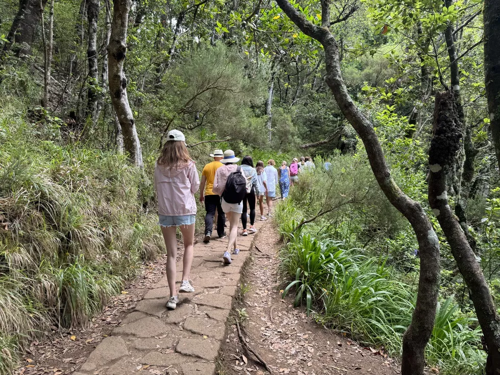 travel program image