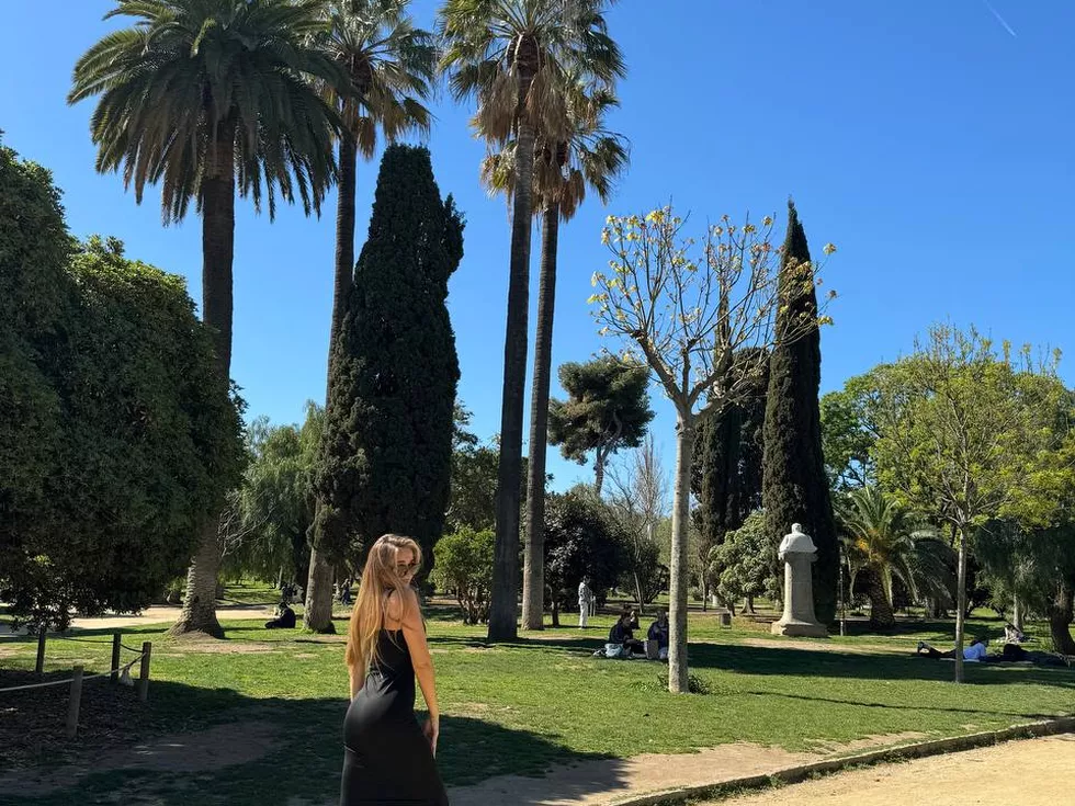 travel program image