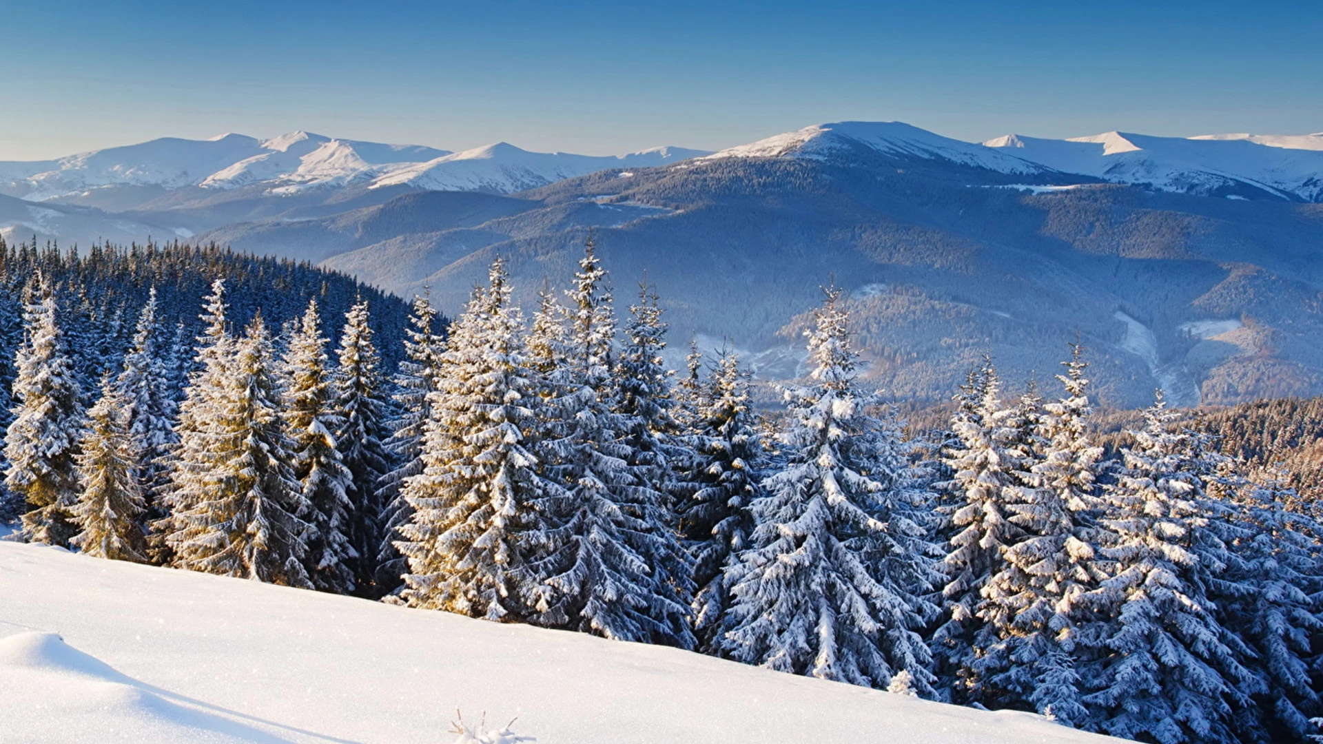 trip inroduction image