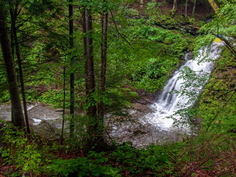 travel program image