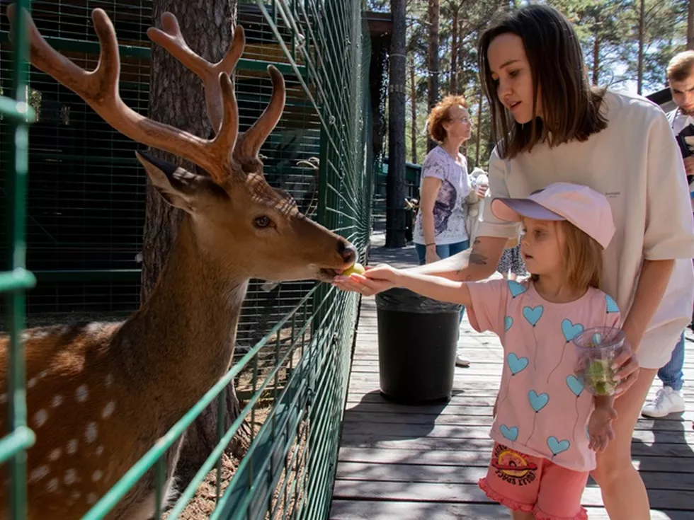 travel program image