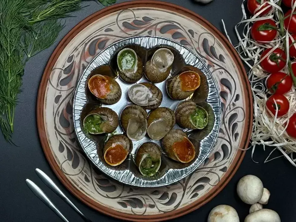 travel program image