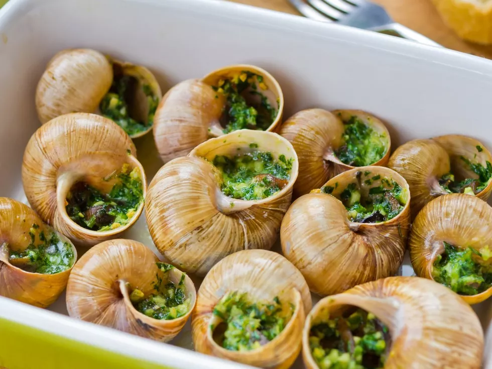 travel program image