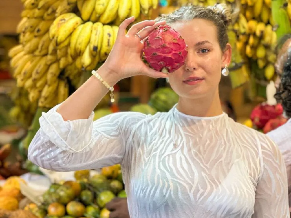 travel program image