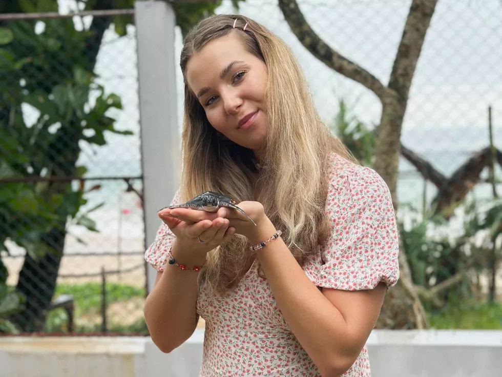 travel program image