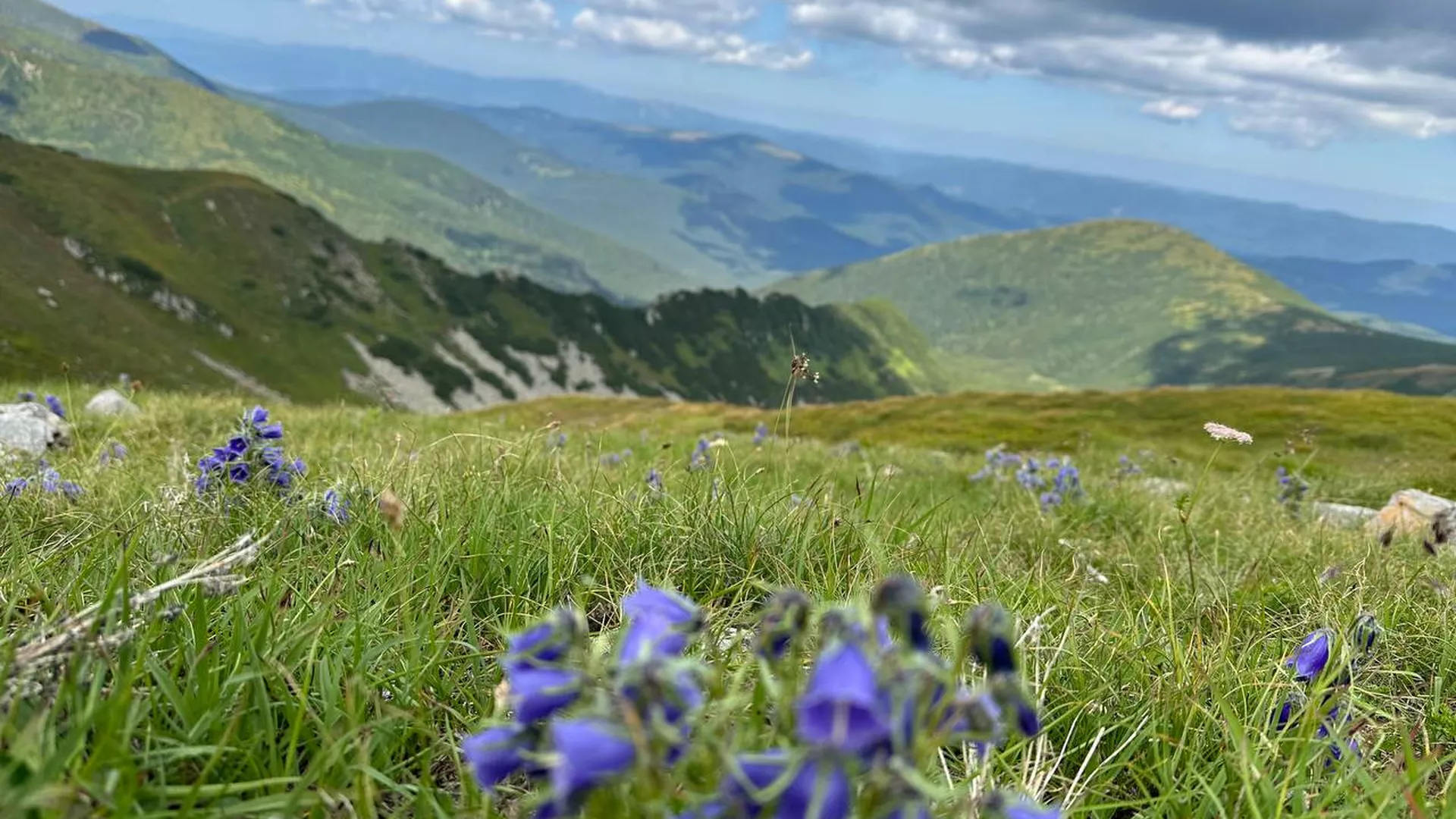 trip inroduction image