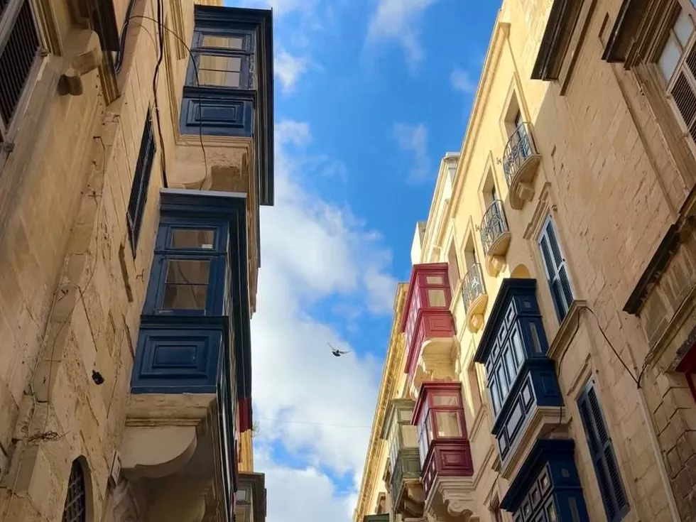 travel program image