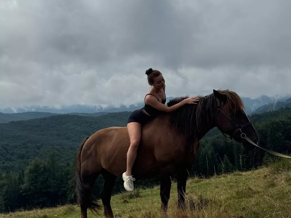 travel program image