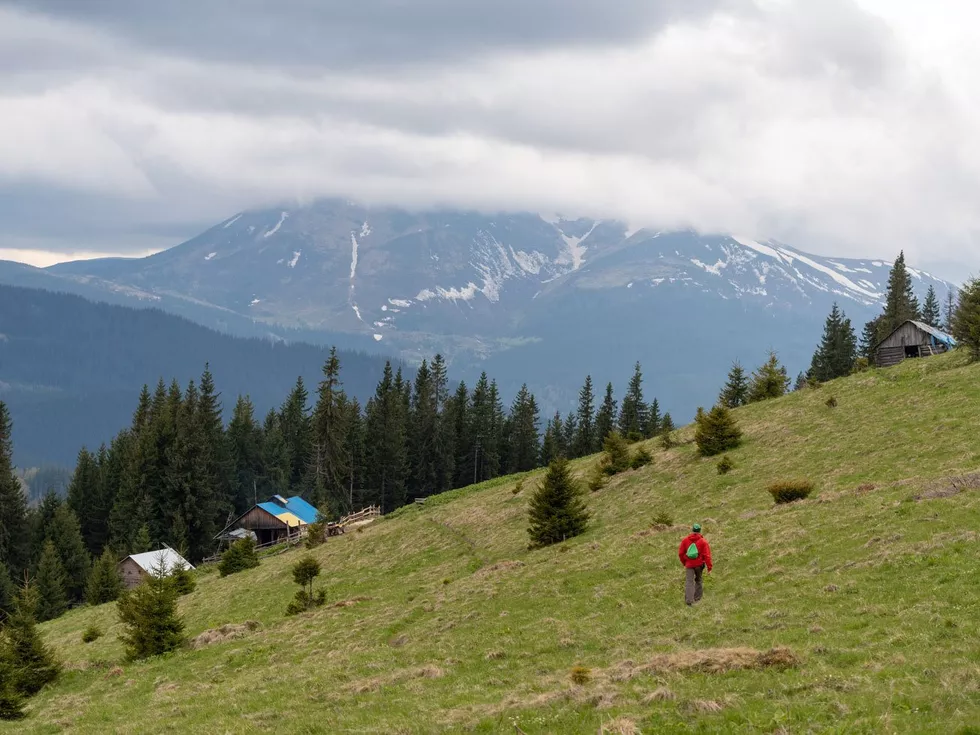 travel program image