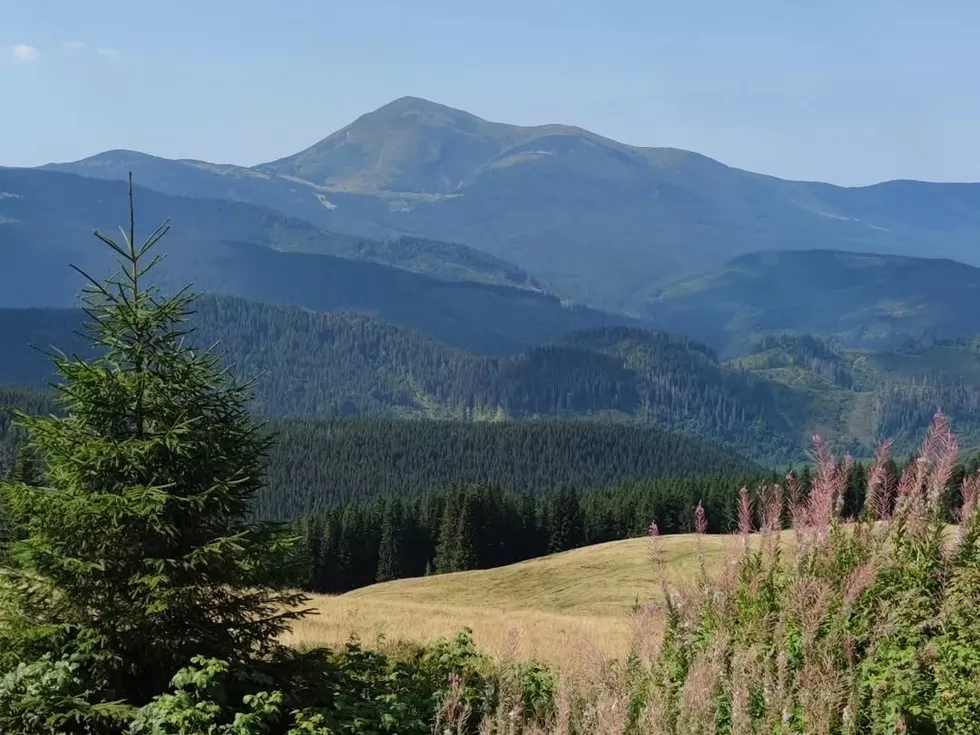 travel program image