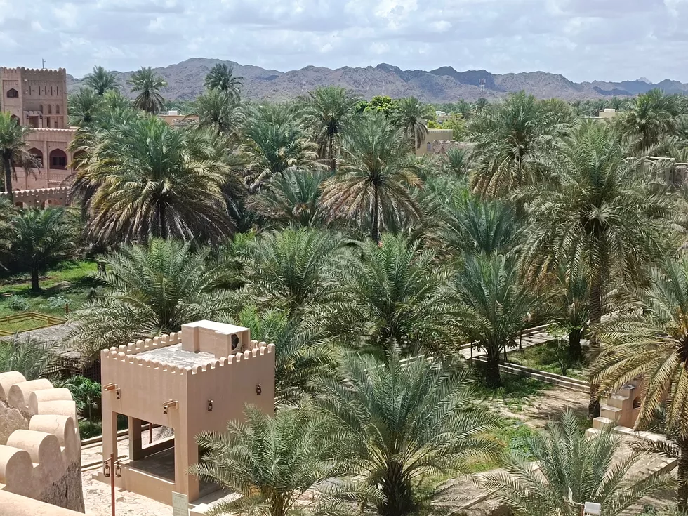 travel program image