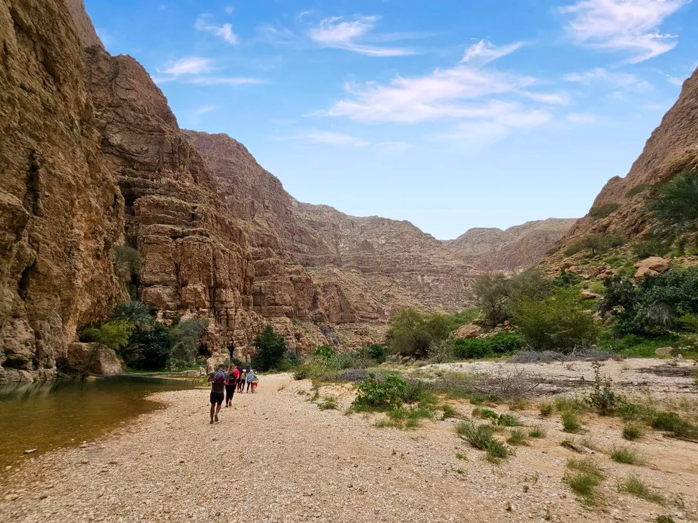 travel program image