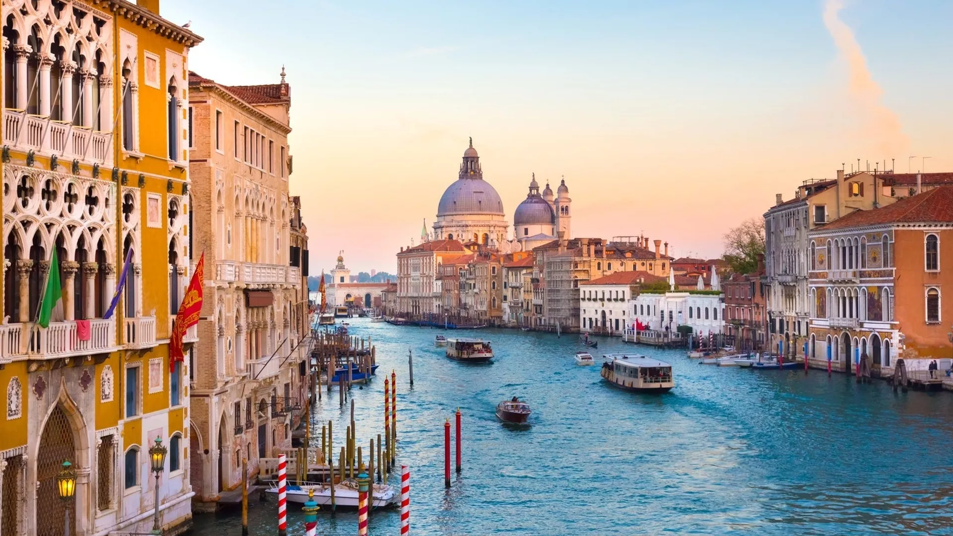 trip inroduction image