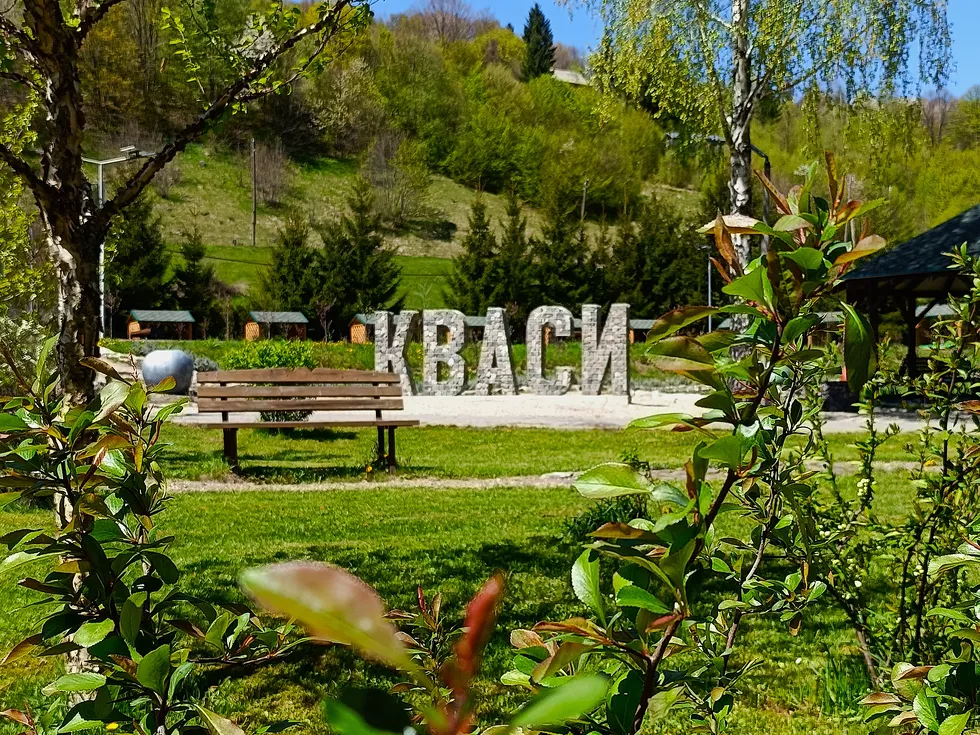 travel program image