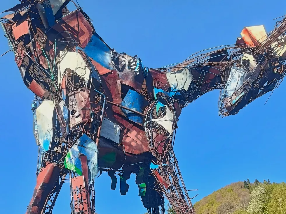 travel program image