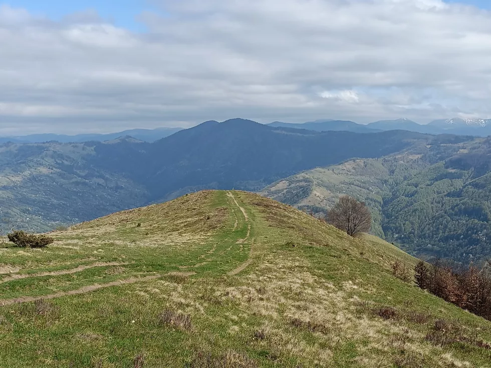 travel program image