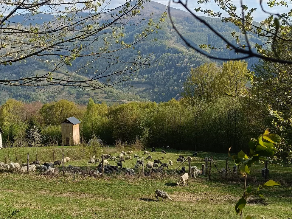 travel program image