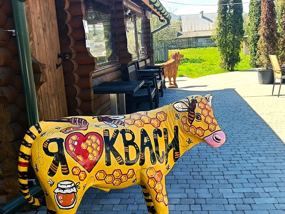 travel program image