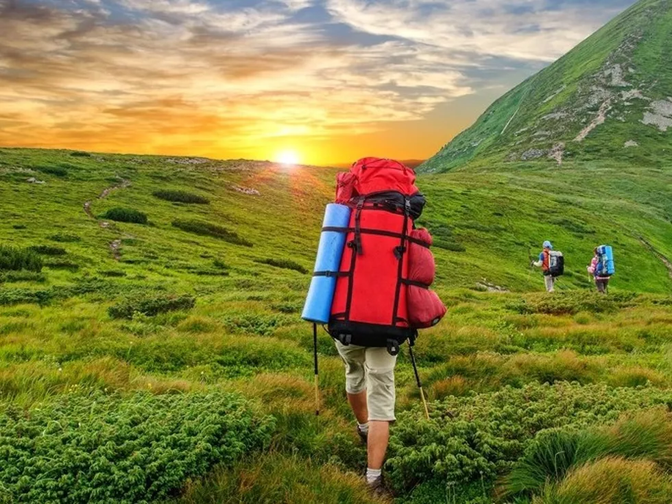 travel program image