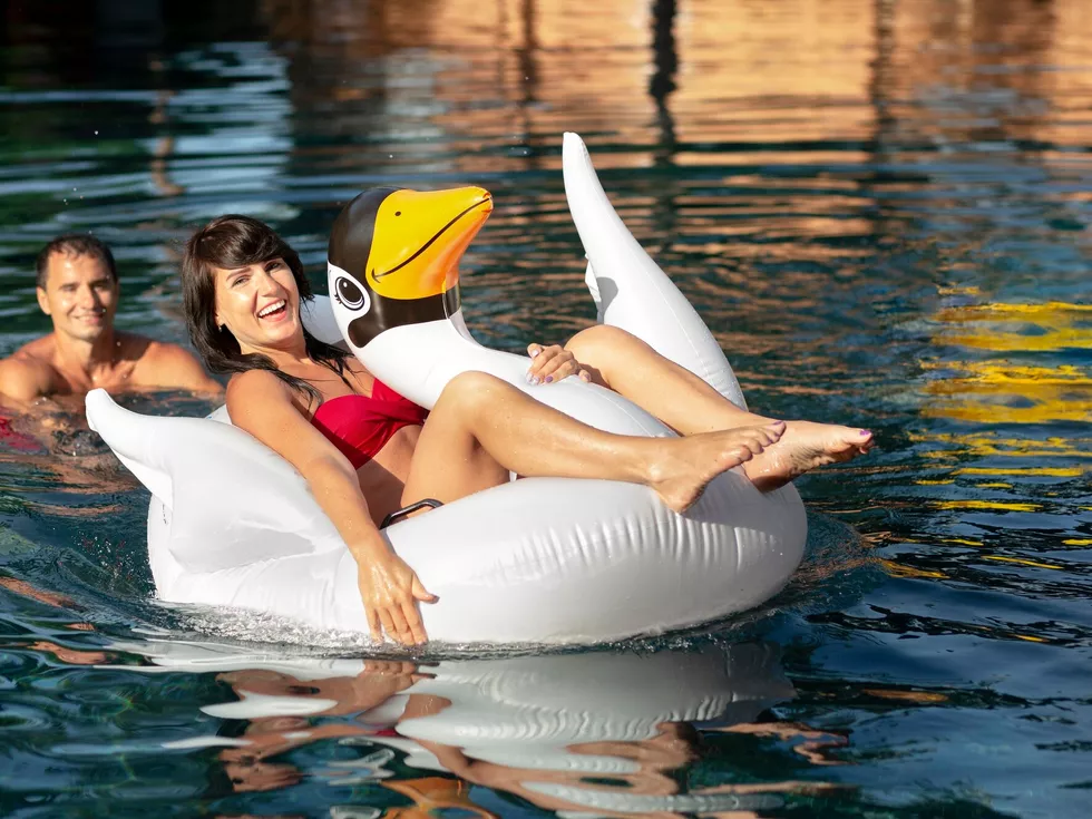 travel program image