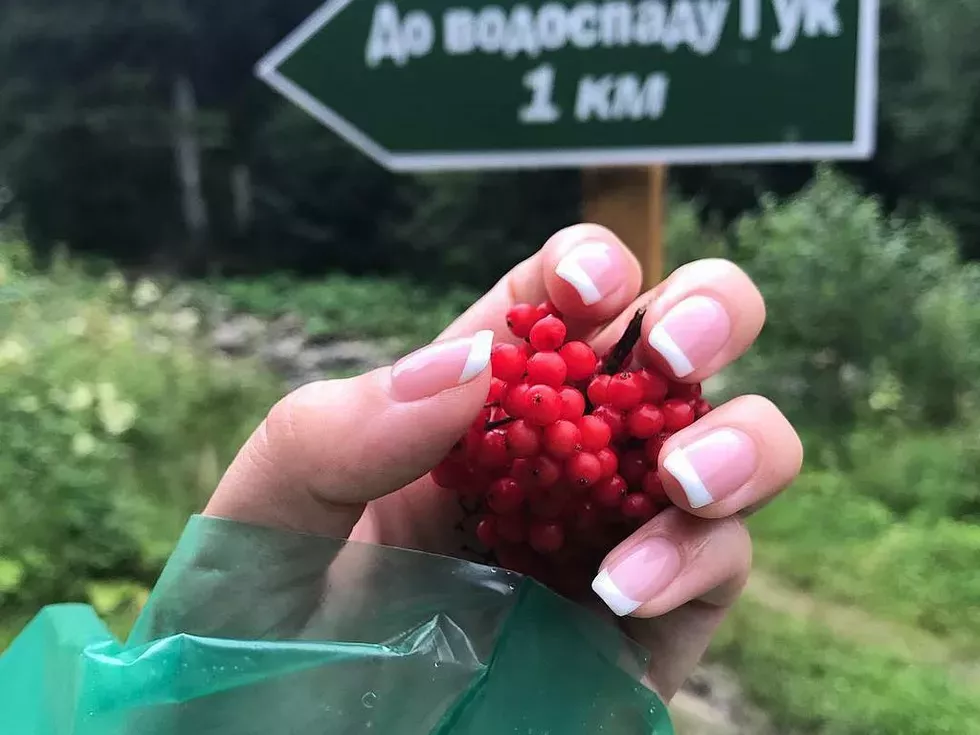 travel program image