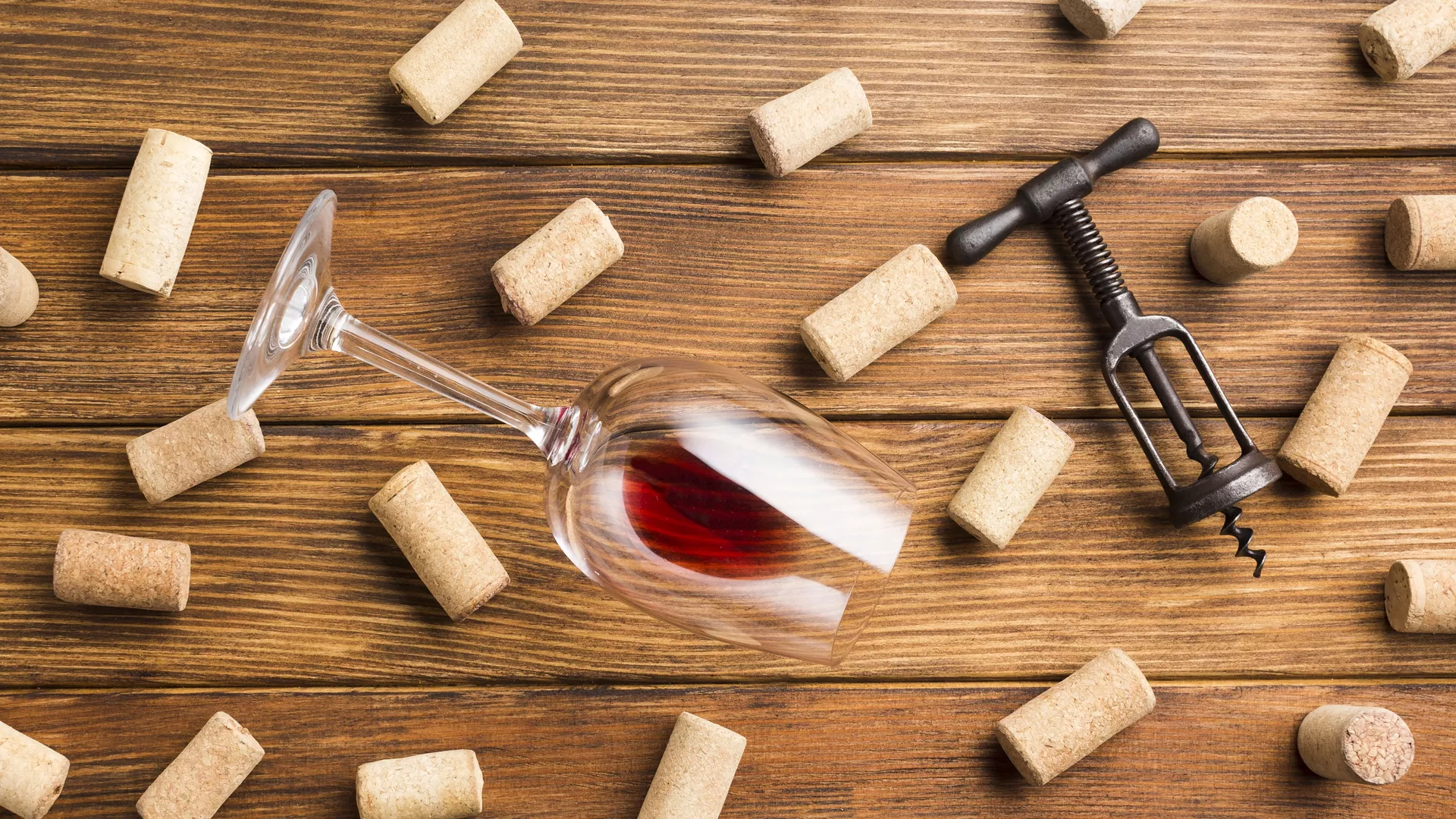 trip inroduction image