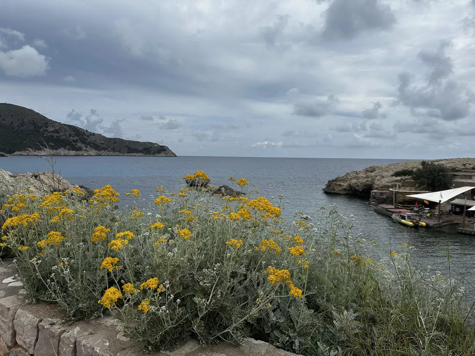 travel program image