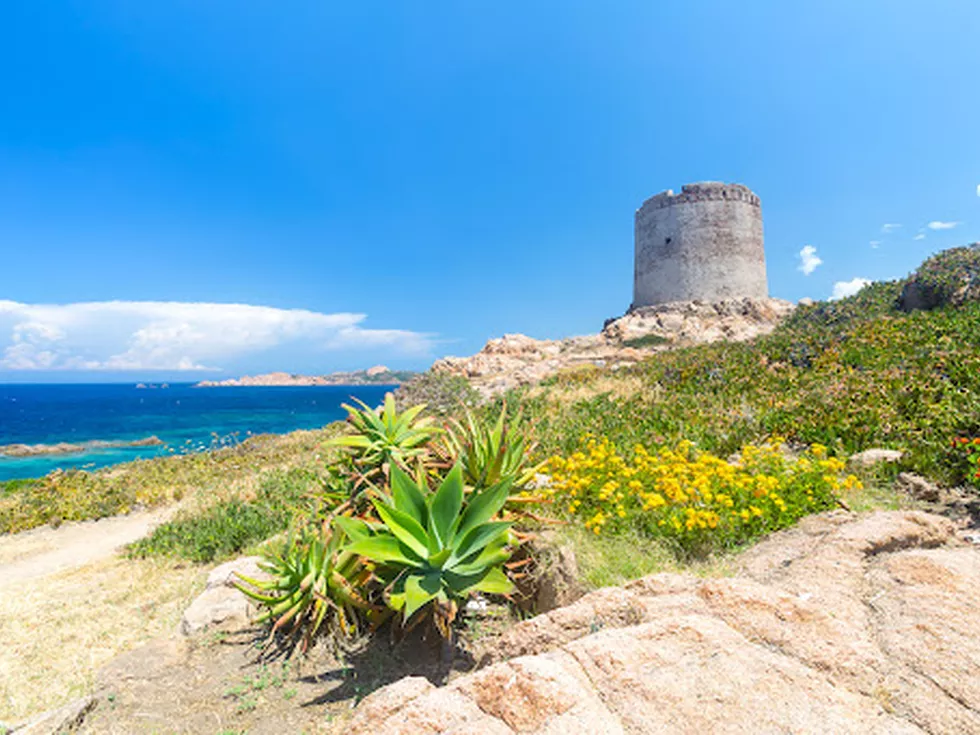 travel program image