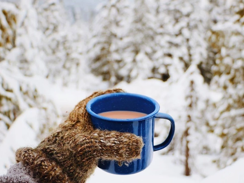 travel program image