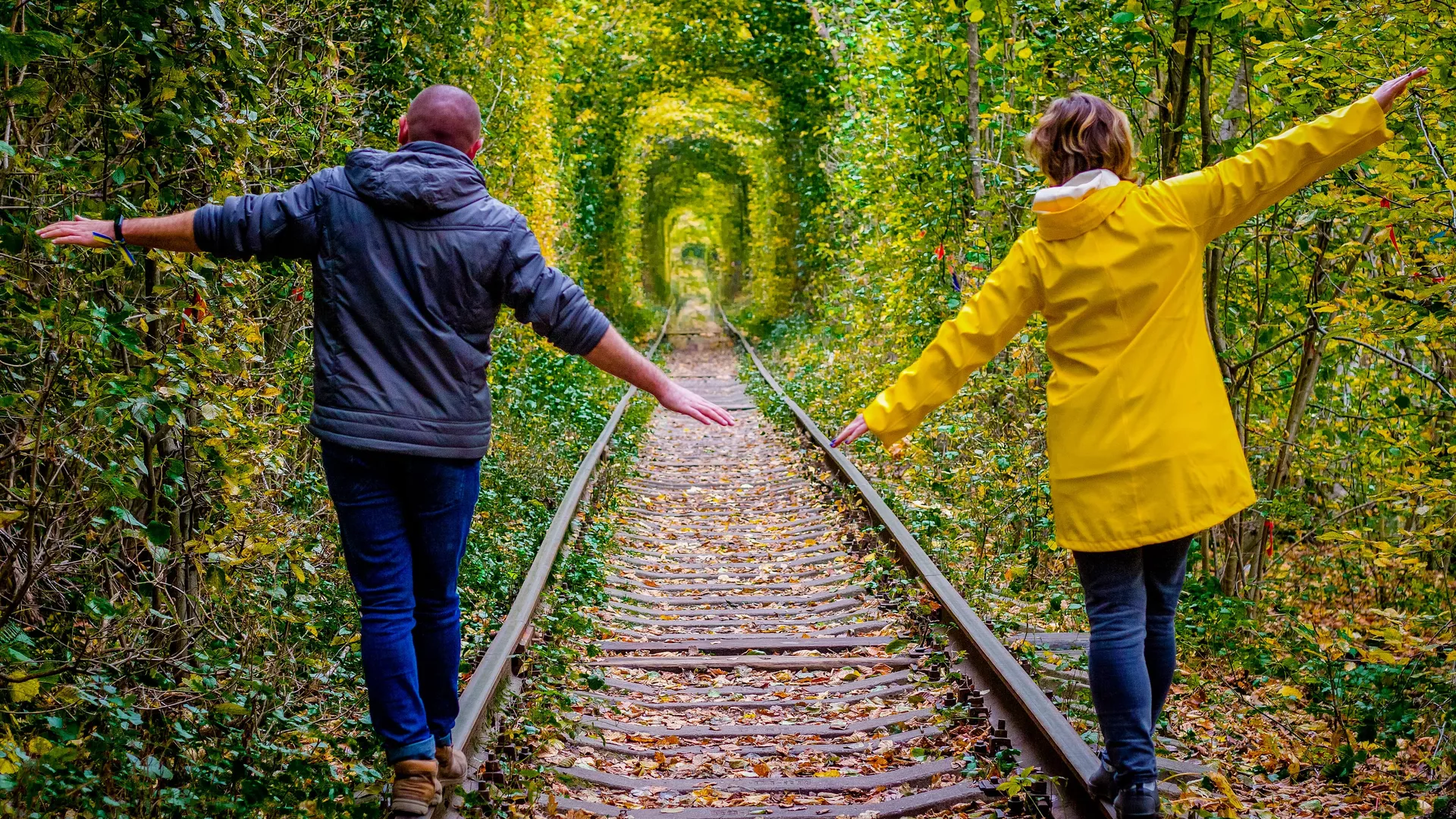 trip inroduction image