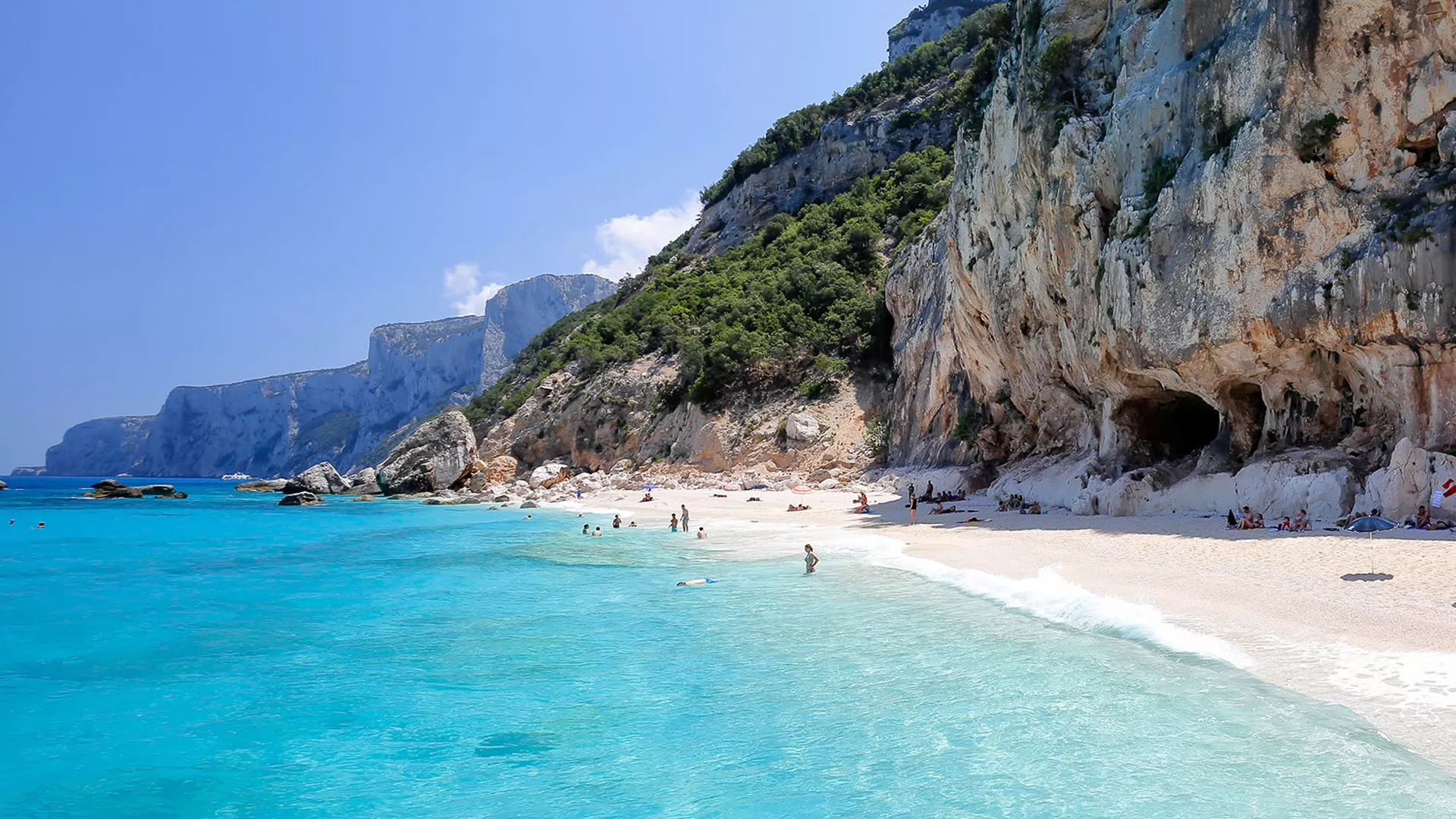 trip inroduction image