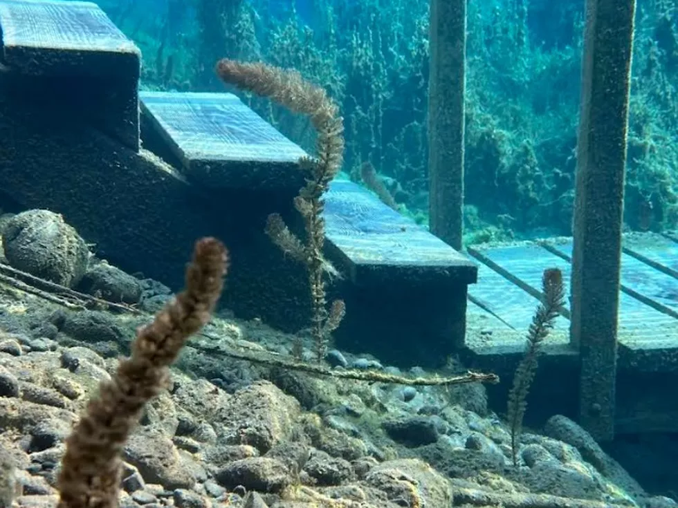 travel program image