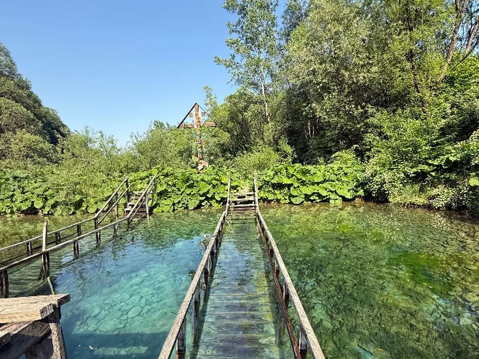 travel program image