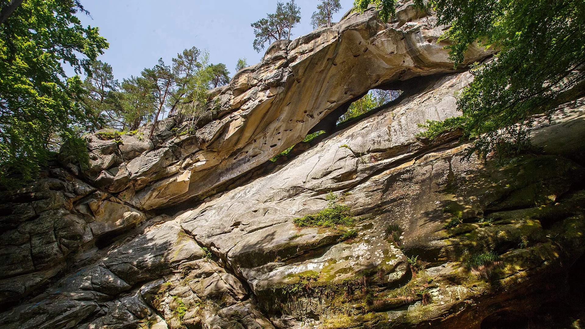 trip inroduction image