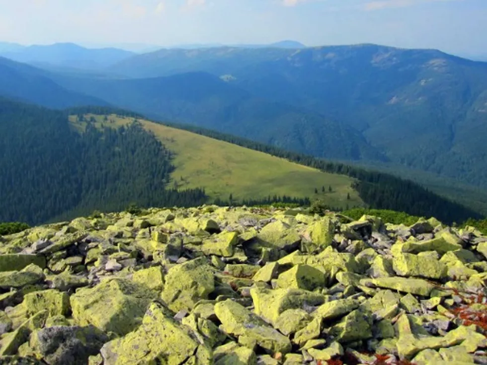 travel program image