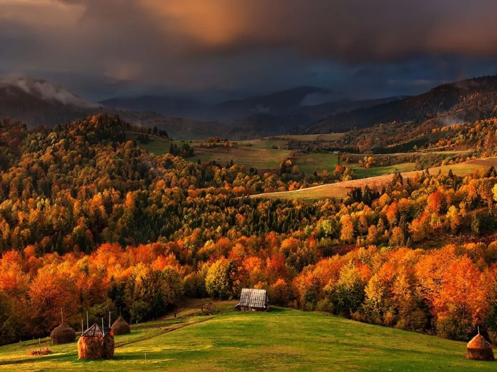 travel program image