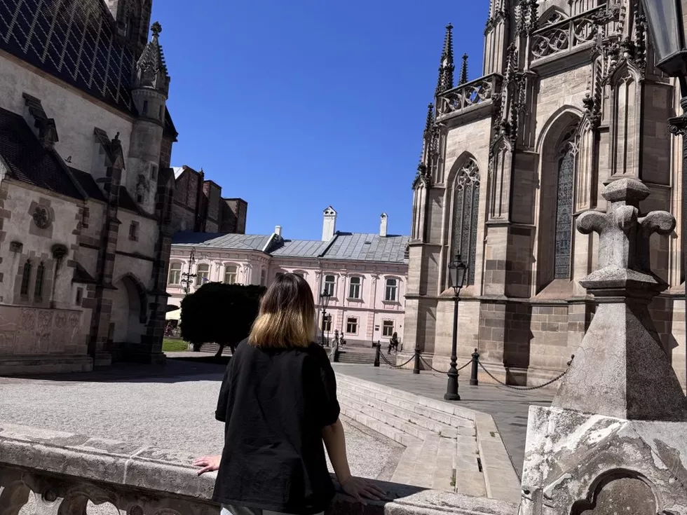 travel program image