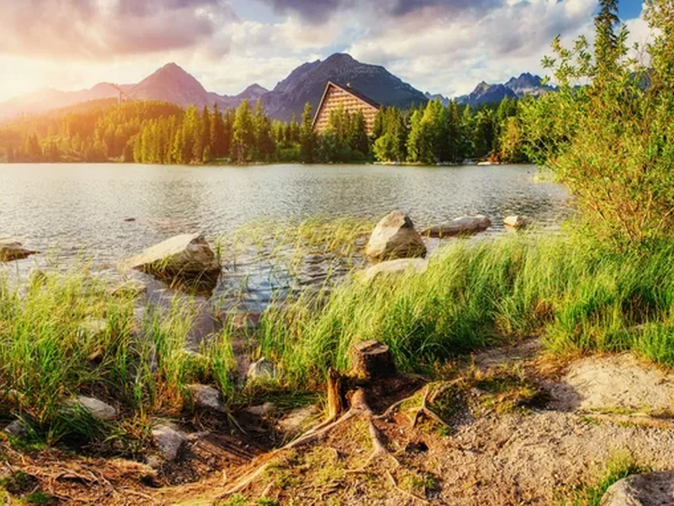 travel program image