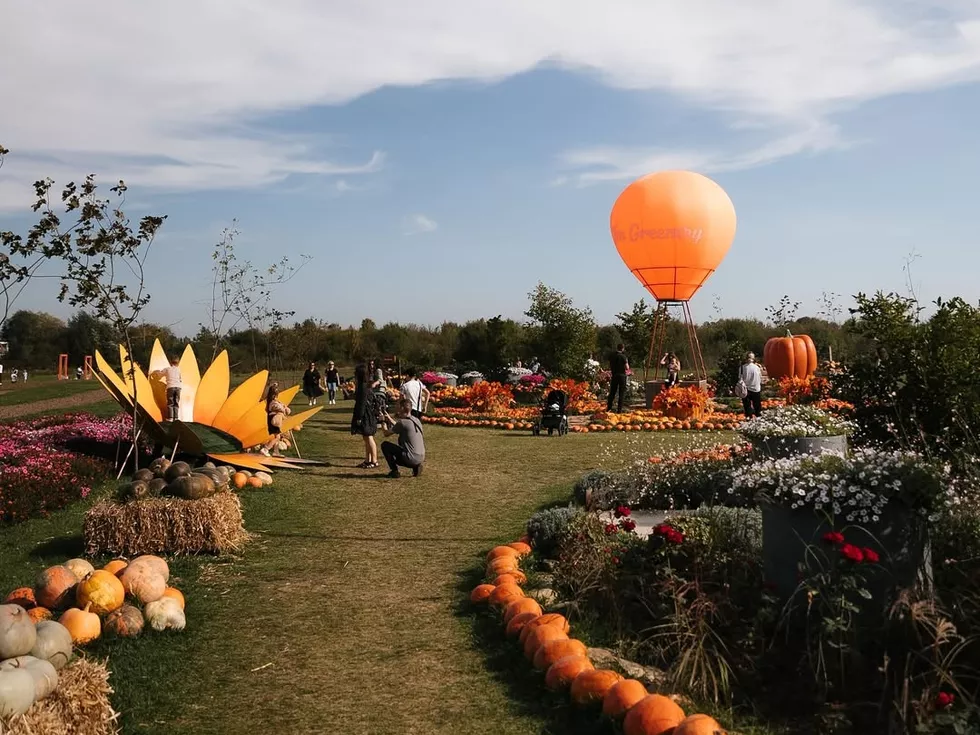 travel program image