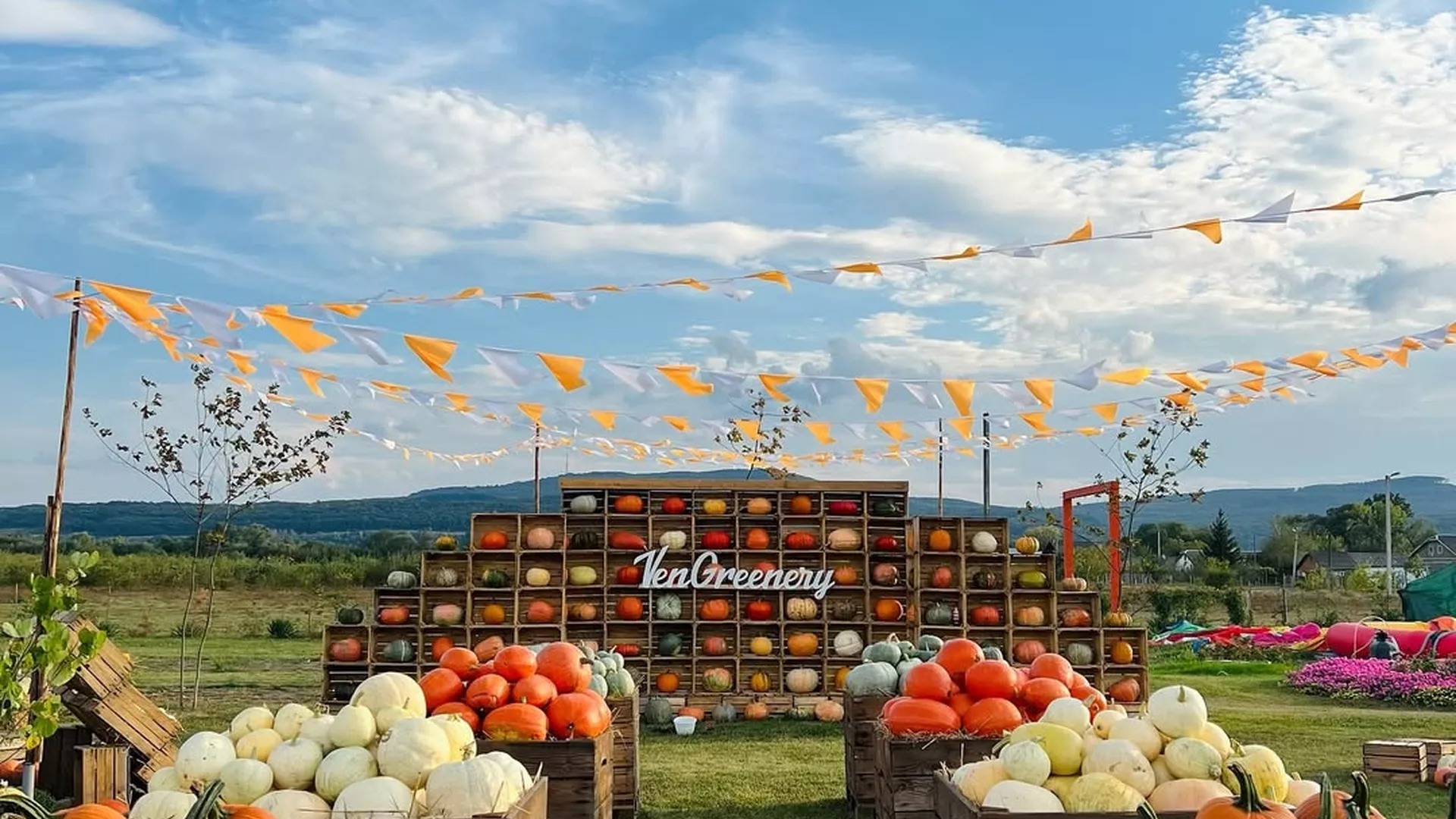 trip inroduction image