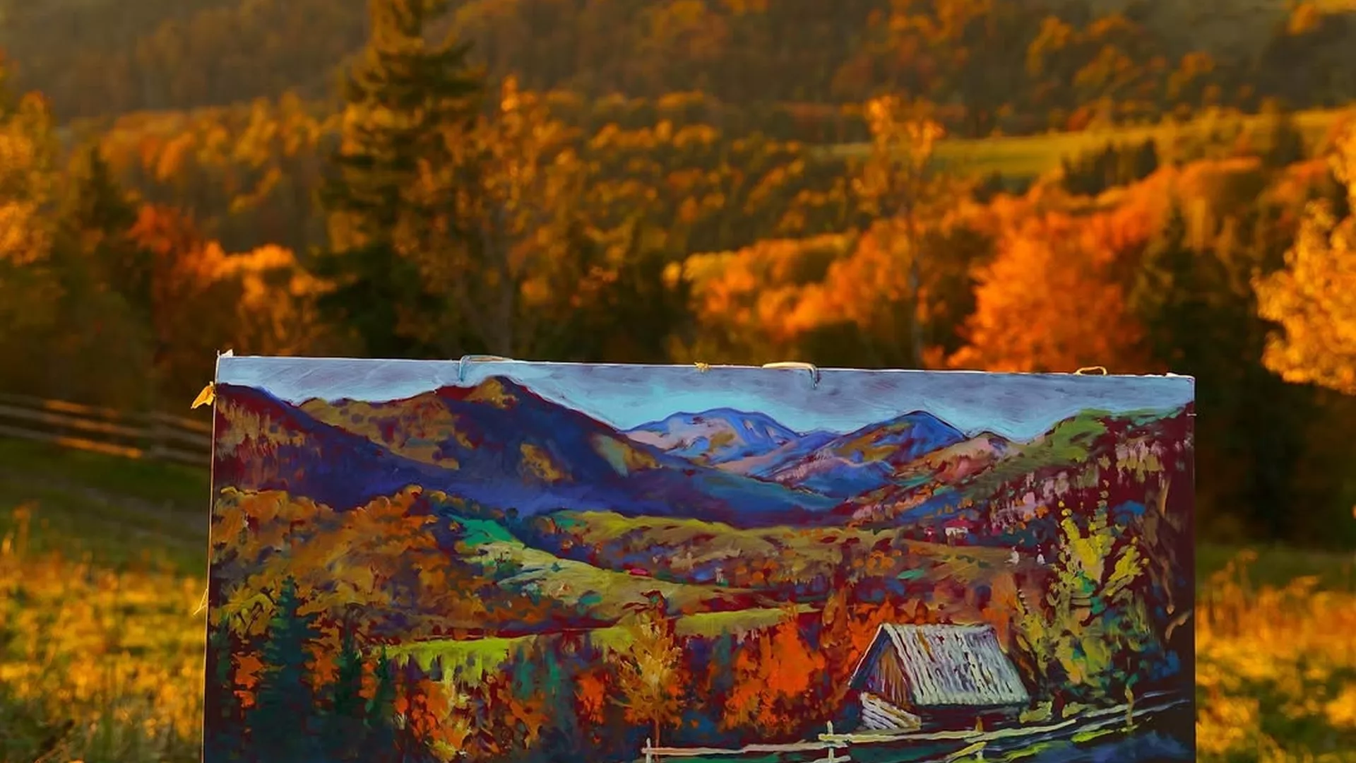 trip inroduction image