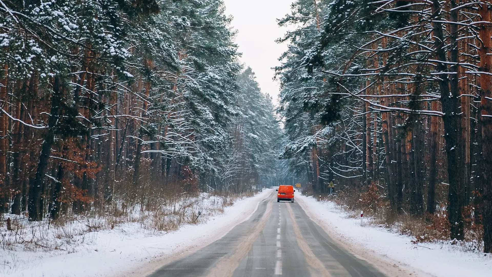 trip inroduction image