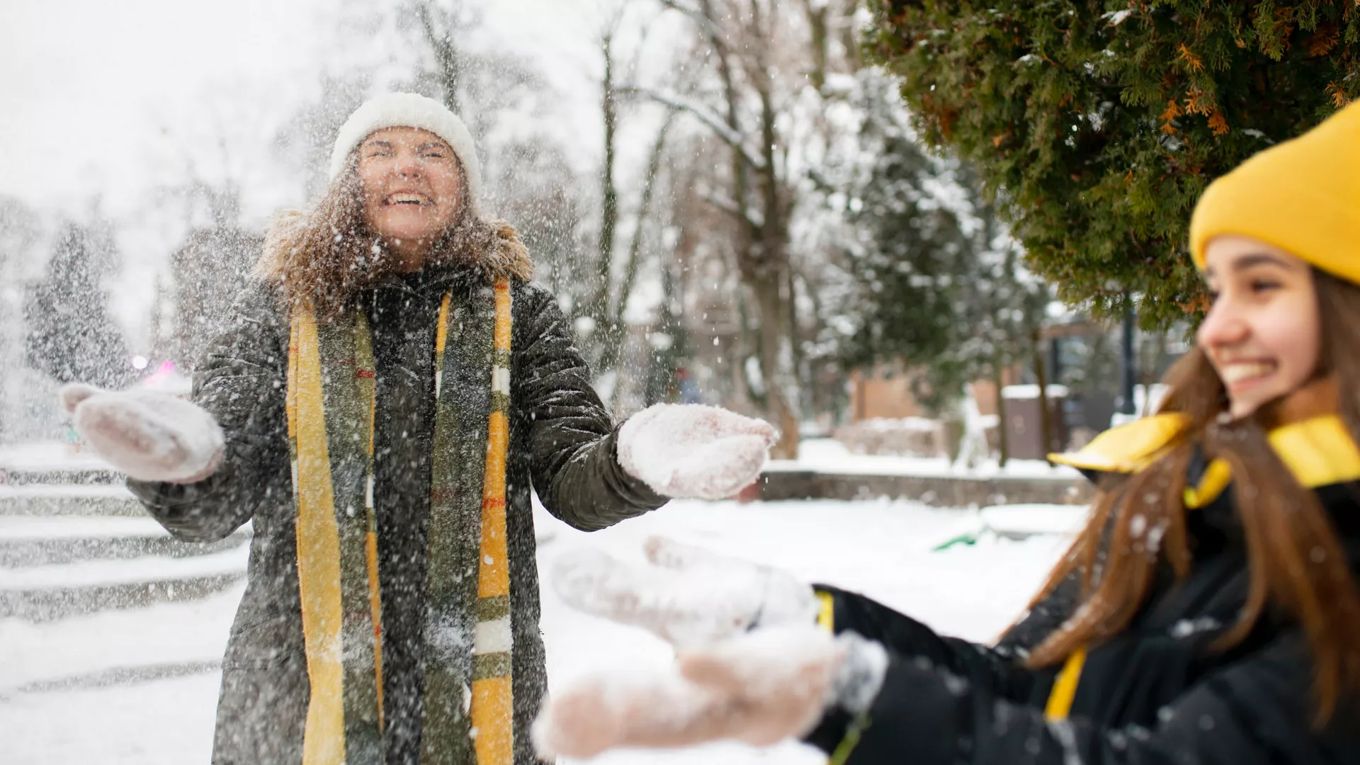 trip inroduction image