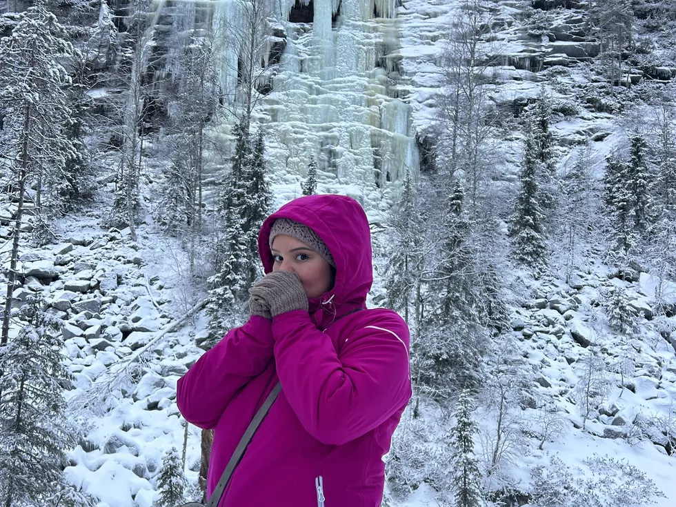 travel program image