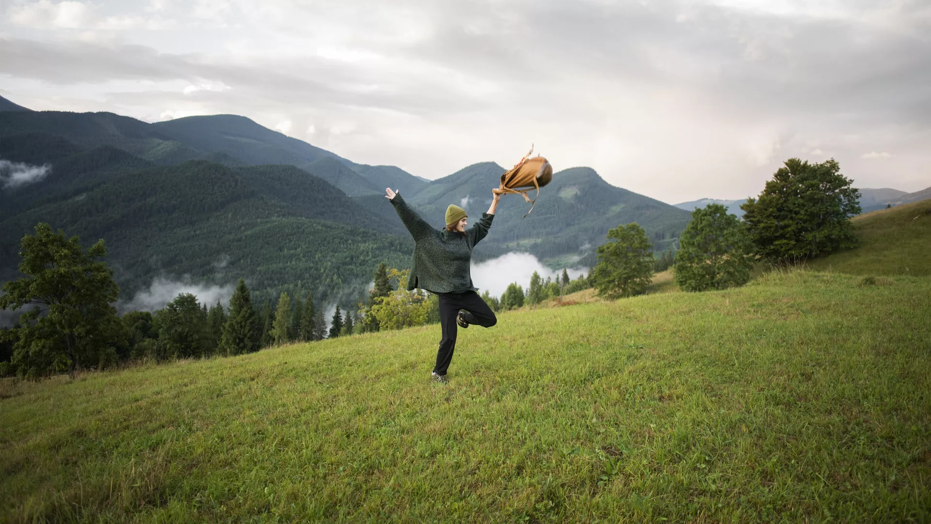 trip inroduction image