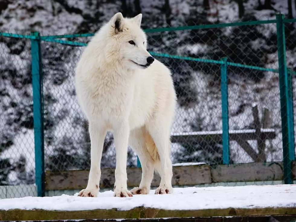 travel program image