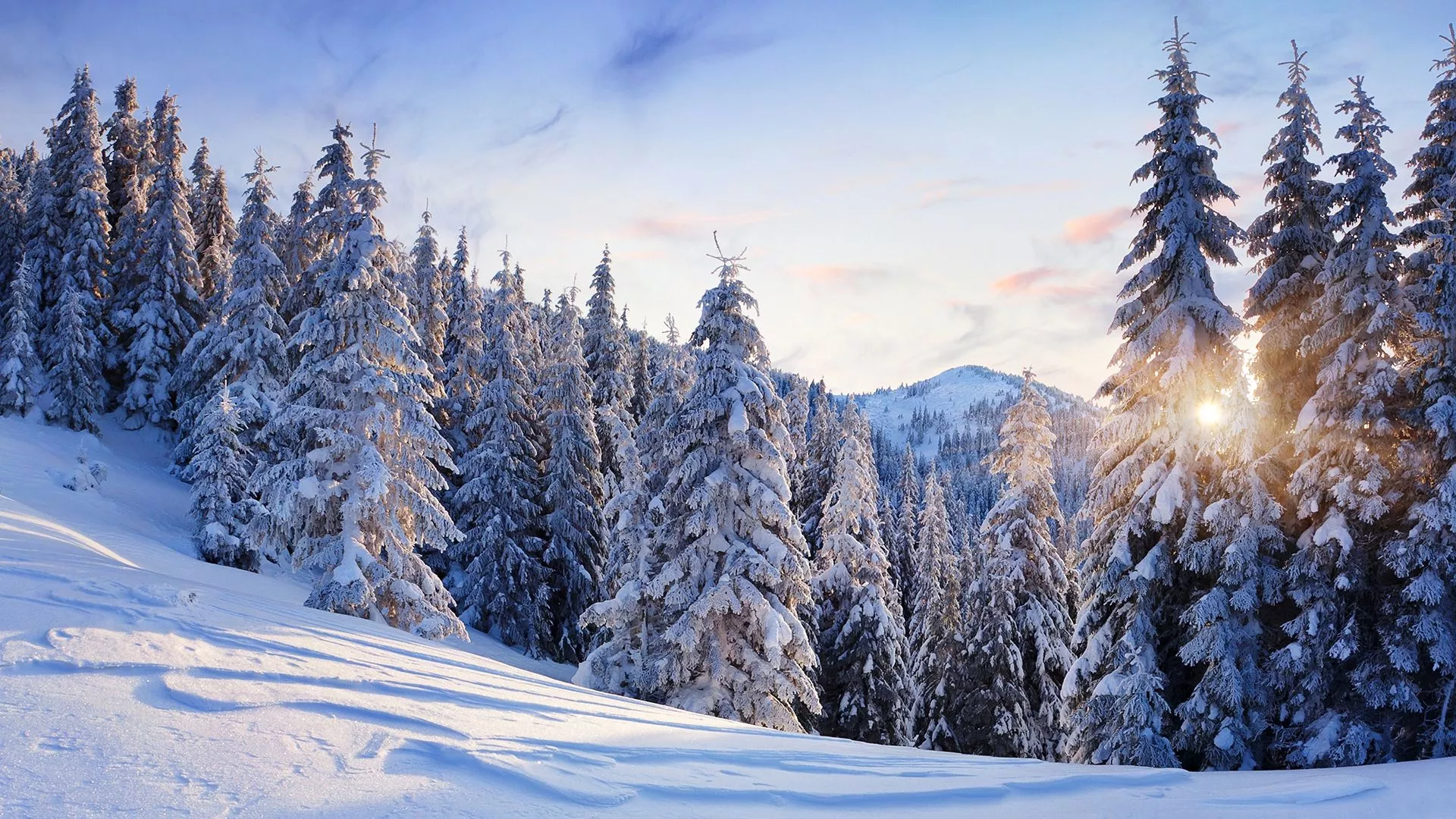 trip inroduction image