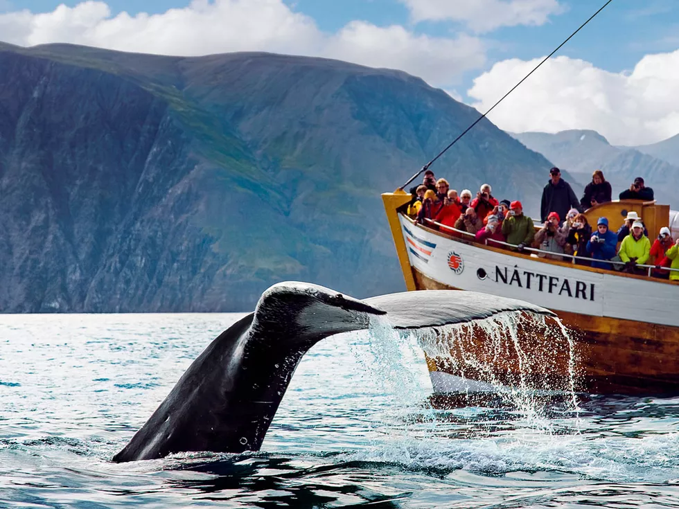 travel program image